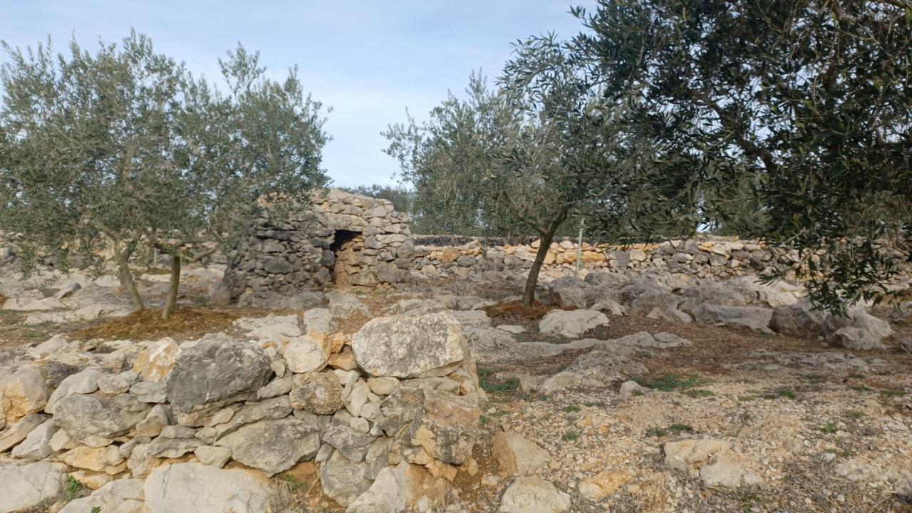3Natura Avinyonet de Puigventós Extérieur photo