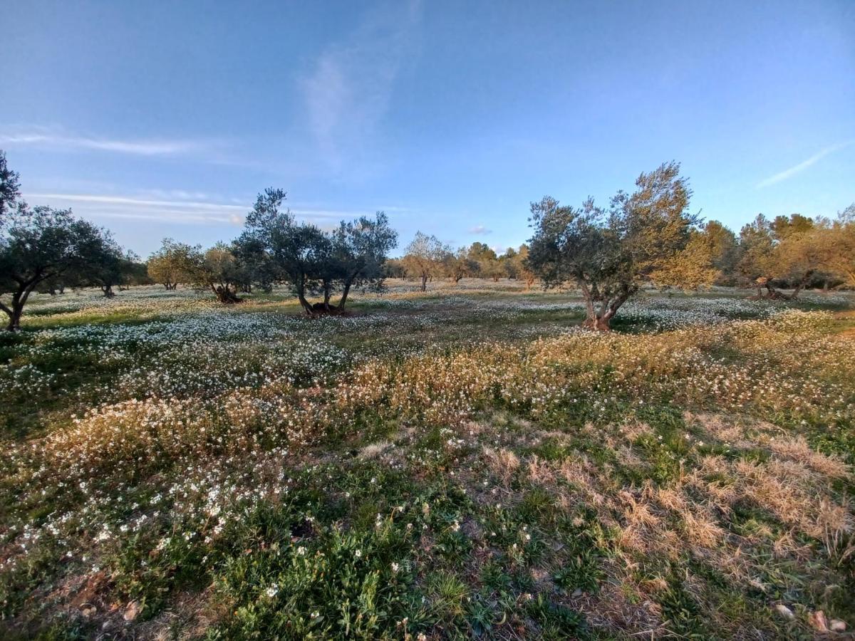 3Natura Avinyonet de Puigventós Extérieur photo