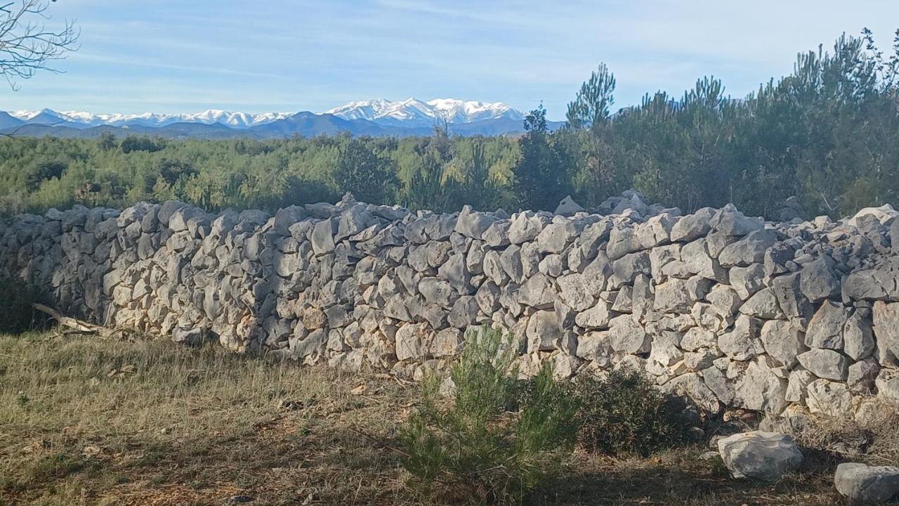 3Natura Avinyonet de Puigventós Extérieur photo
